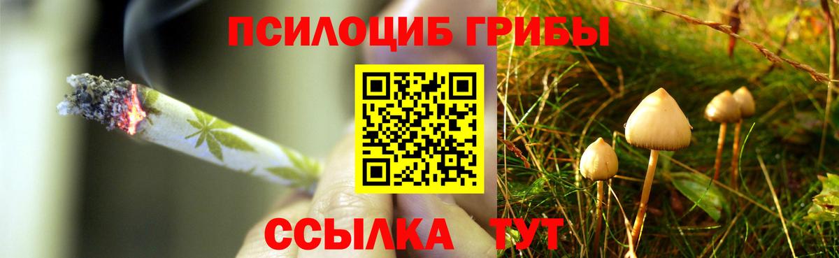 Псилоцибиновые грибы Magic Shrooms Уварово